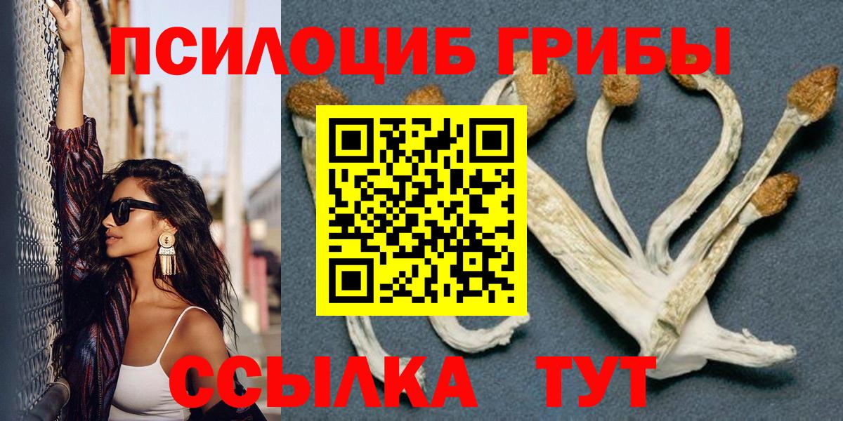 Галлюциногенные грибы ЛСД  Вход с VPN  Псилоцибиновые грибы Magic Shrooms  Дзержинск 